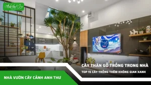 anh dai dien ccat 181
