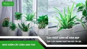 anh dai dien ccat 176