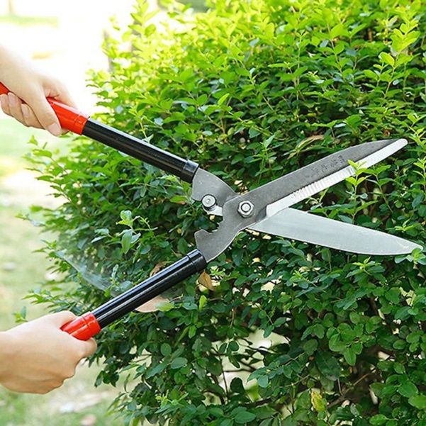 Kéo cắt tỉa hàng rào