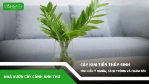 anh dai dien ccat 155