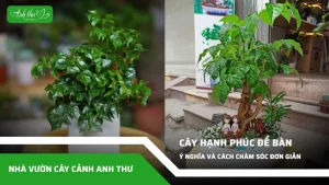 anh dai dien ccat 158