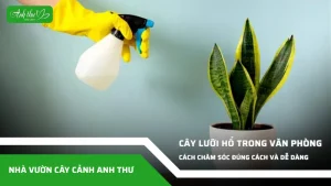 anh dai dien ccat 161