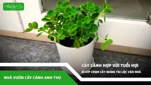 anh dai dien ccat 162 1