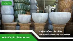 anh dai dien ccat 163