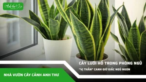 anh dai dien ccat 165
