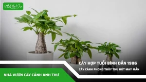 anh dai dien ccat 166