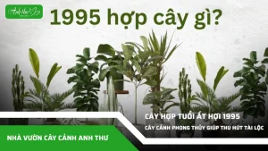 anh dai dien ccat 170