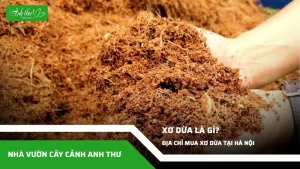 anh dai dien ccat 171