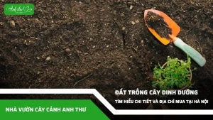anh dai dien ccat 172