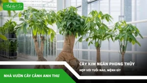 anh dai dien ccat 173
