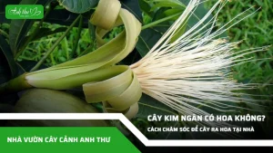anh dai dien ccat 139