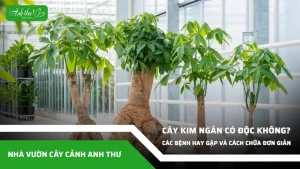 anh dai dien ccat 140