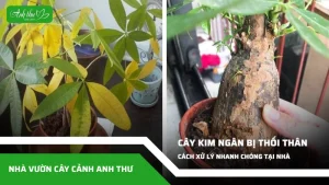 anh dai dien ccat 142