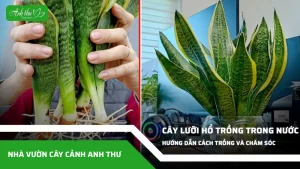 anh dai dien ccat 143