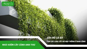 anh dai dien ccat 147