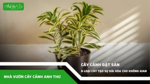 anh dai dien ccat 148