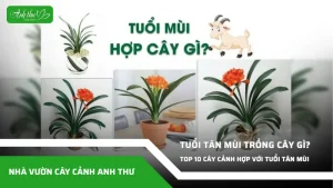 anh dai dien ccat 153