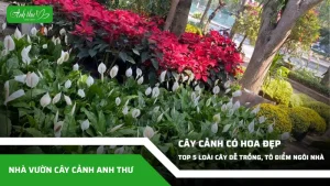 anh dai dien ccat 132