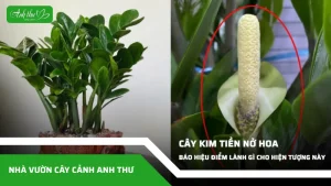 anh dai dien ccat 136