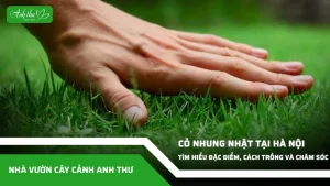 anh dai dien ccat 123