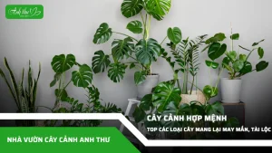 anh dai dien ccat 124