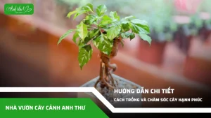 anh dai dien ccat 127