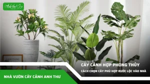 anh dai dien ccat 129
