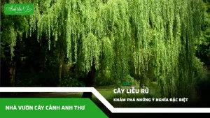 anh dai dien ccat 130