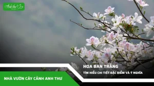 anh dai dien ccat 110