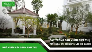 anh dai dien ccat 116