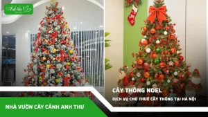 anh dai dien ccat 118