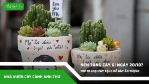 anh dai dien ccat 119