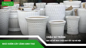 anh dai dien ccat 122