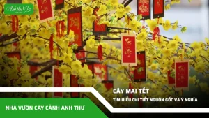 anh dai dien ccat 101