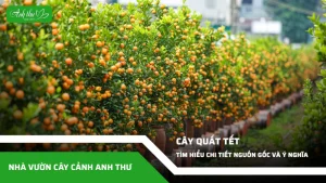anh dai dien ccat 102