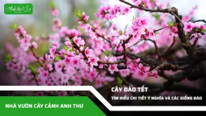 anh dai dien ccat 103