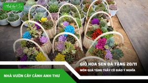 anh dai dien ccat 104