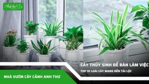 anh dai dien ccat 105