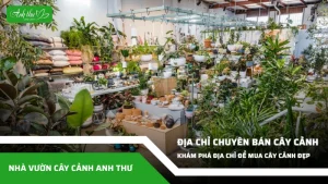 anh dai dien ccat 106