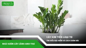 anh dai dien ccat 107