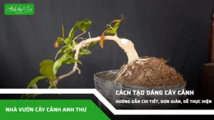 anh dai dien ccat 108