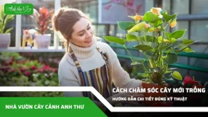 anh dai dien ccat 109