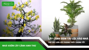 anh dai dien ccat 99