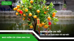 anh dai dien ccat 92