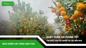 anh dai dien ccat 94