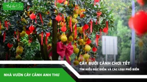 anh dai dien ccat 95