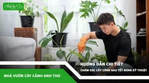anh dai dien ccat 96
