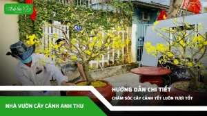 anh dai dien ccat 97