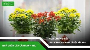 anh dai dien ccat 98