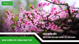 anh dai dien ccat 87
